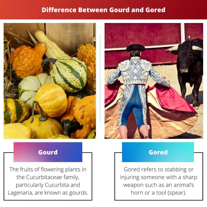 Gourd vs Gored – Difference Between Gourd and Gored
