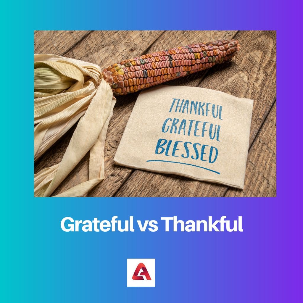 Grateful vs Thankful