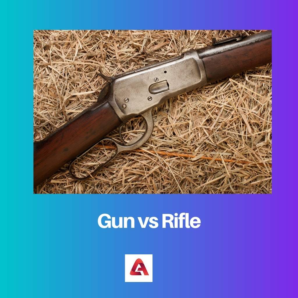 Gun vs Rifle