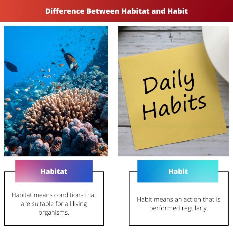 Habitat vs Habit – Difference Between Habitat and Habit