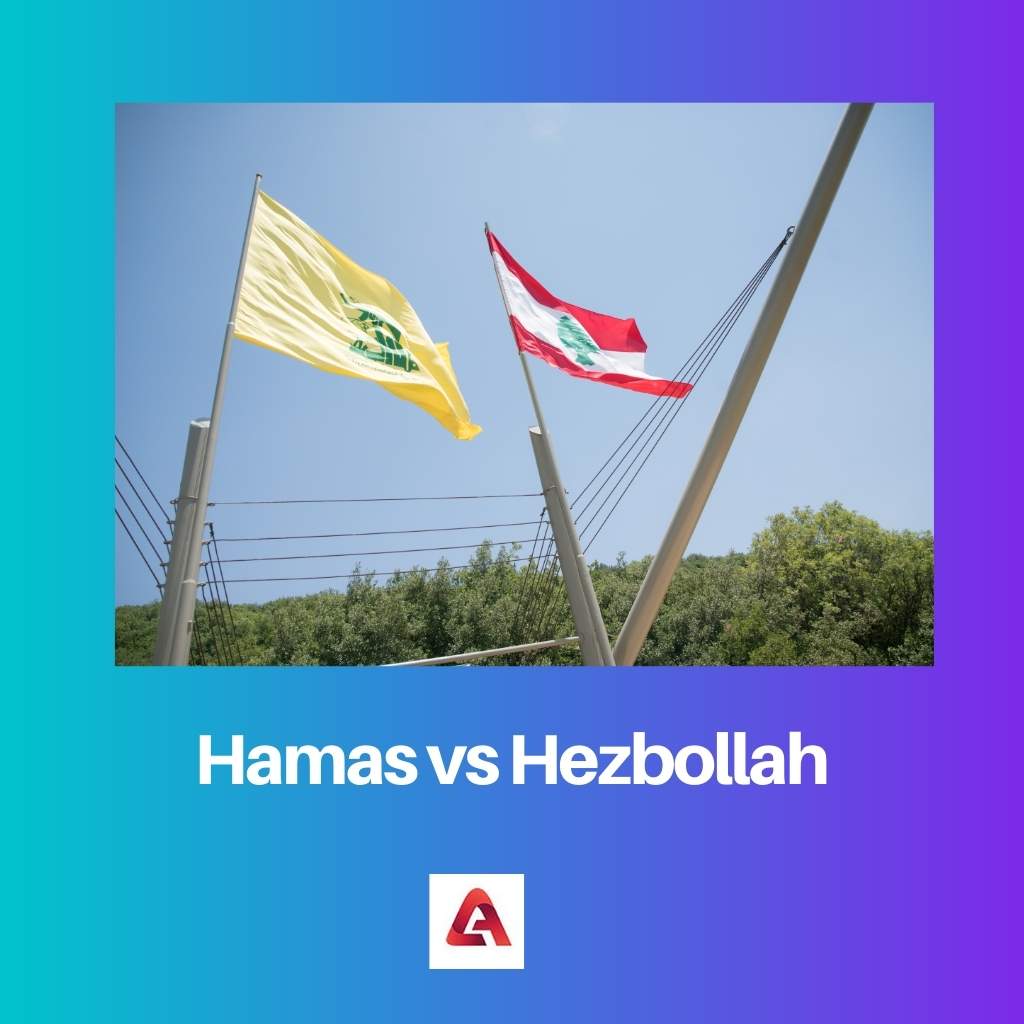 Hamas vs Hezbollah