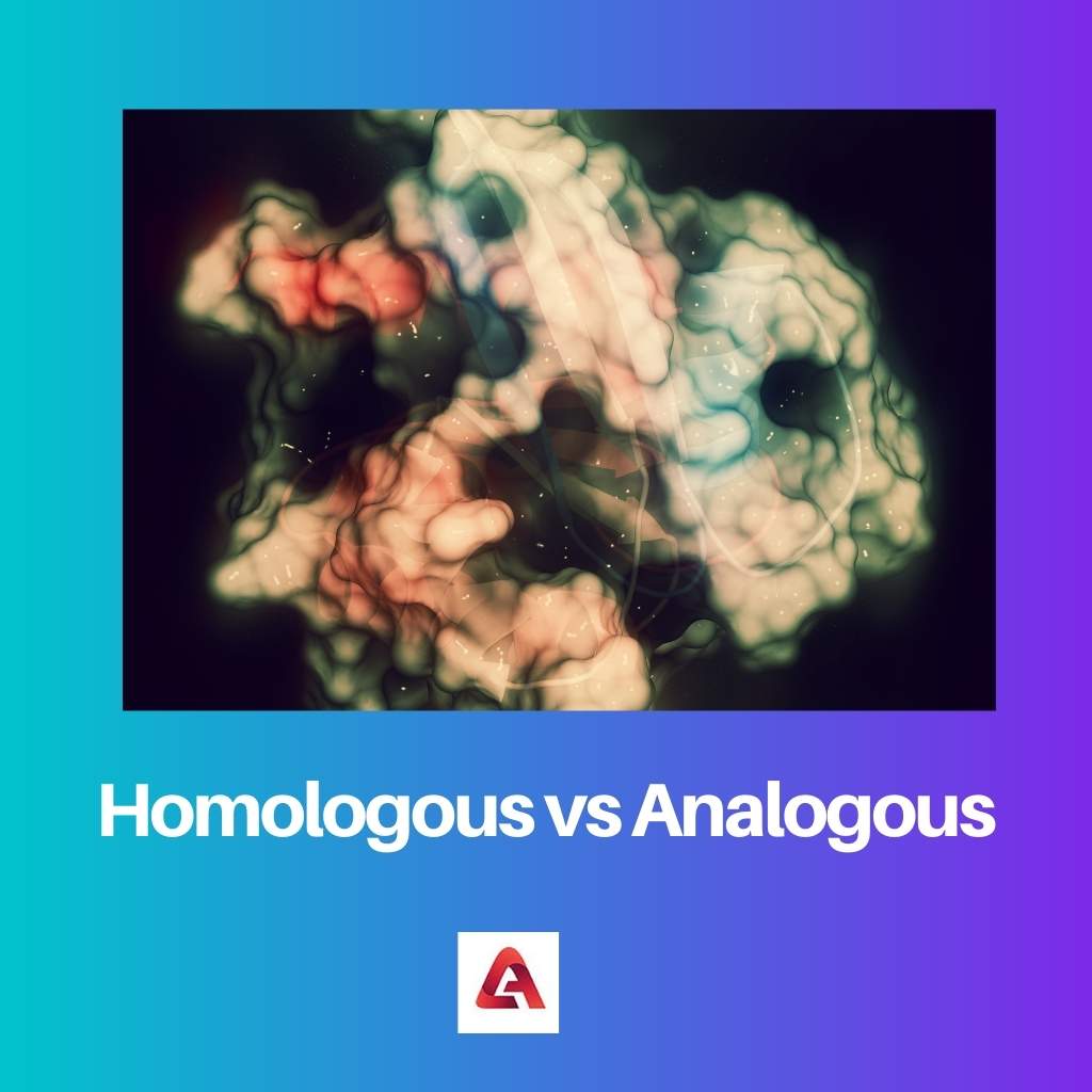 Homologous vs Analogous