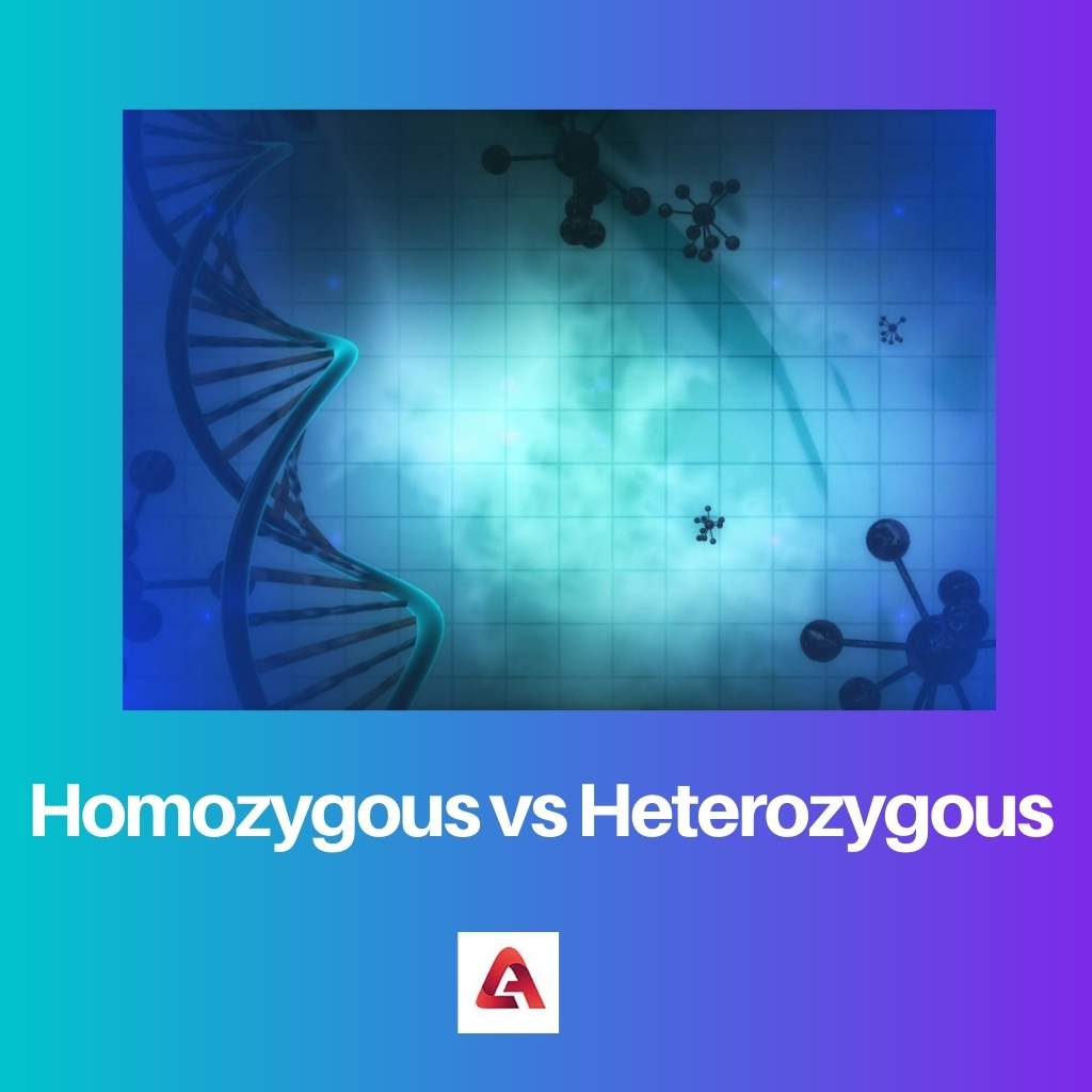 Homozygous vs Heterozygous