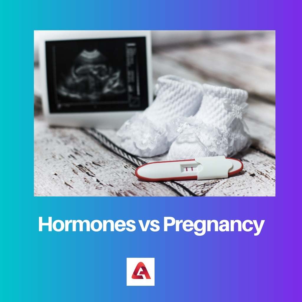 Hormones vs Pregnancy