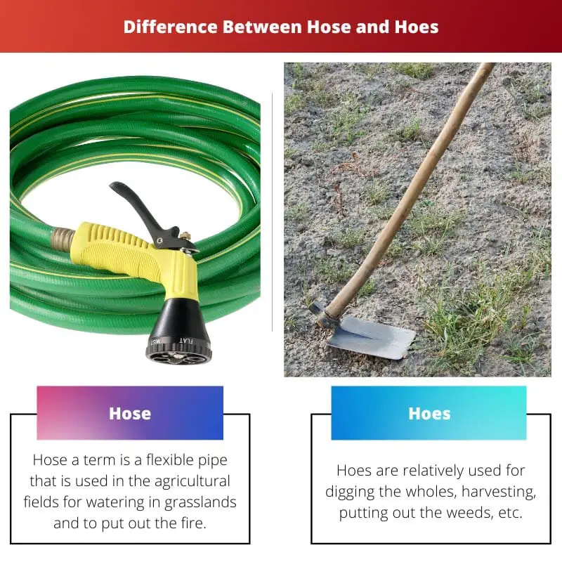 Hose vs Hoes – Difference Between Hose and Hoes