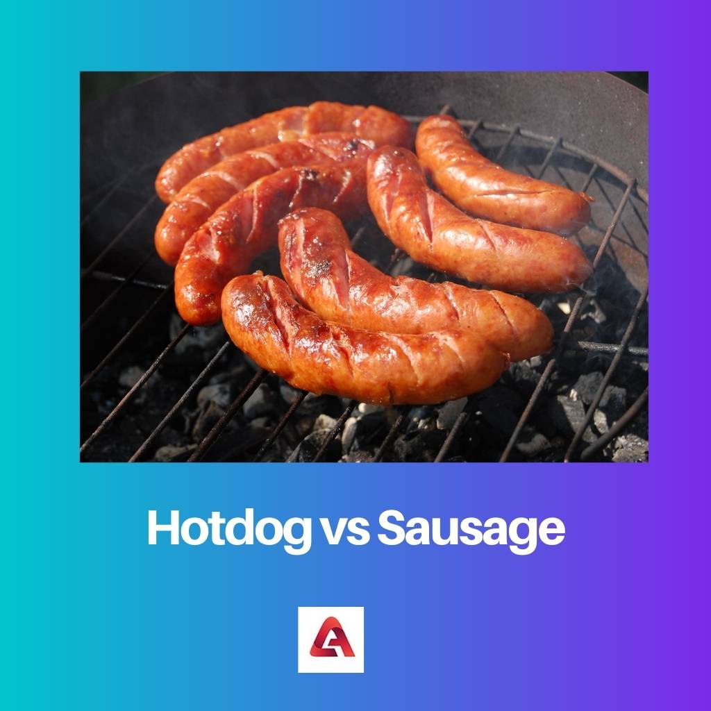 Hotdog vs Sausage