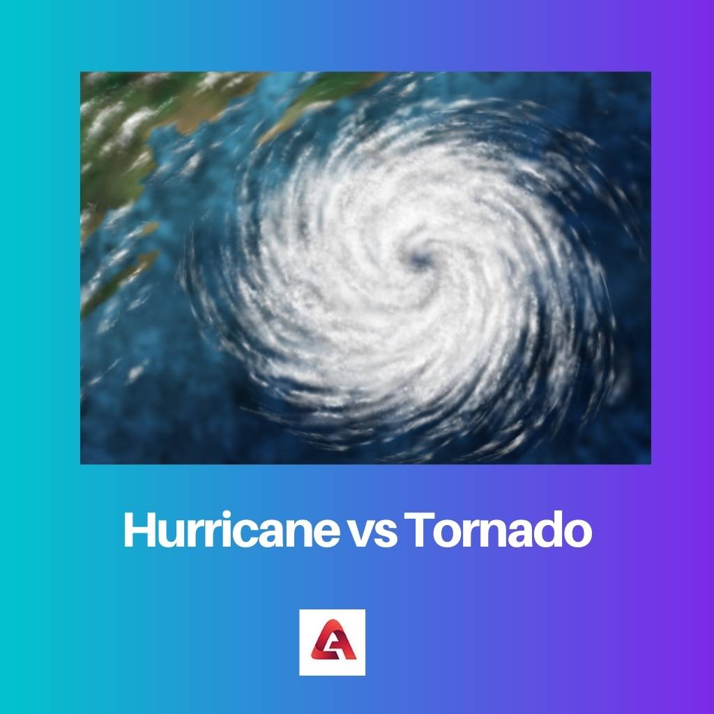 Hurricane vs Tornado