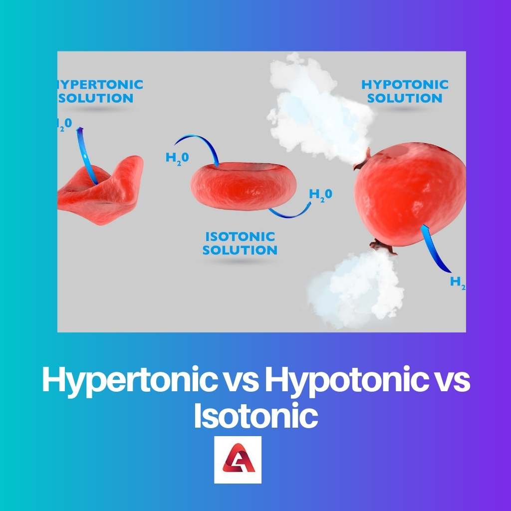 Hypertonic vs Hypotonic vs Isotonic