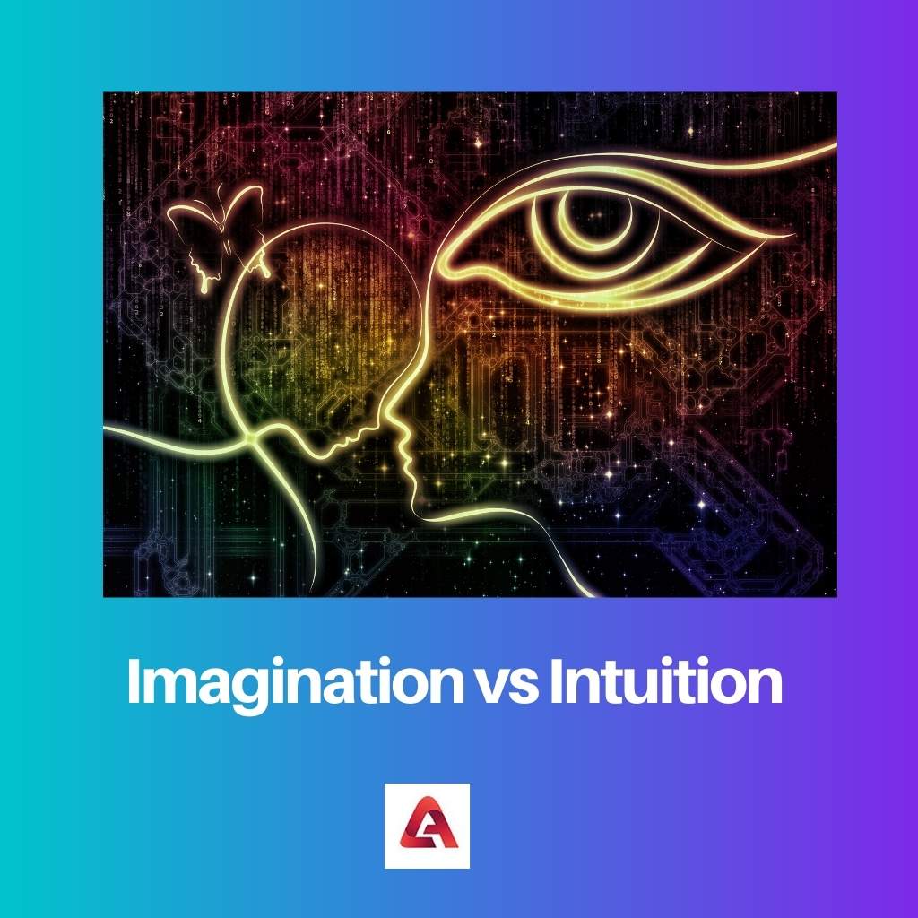 Imagination vs Intuition