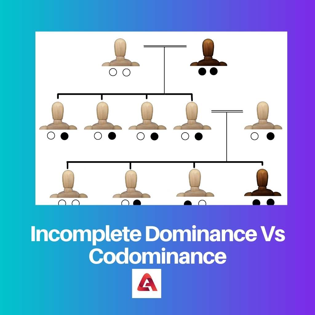Incomplete Dominance Vs Codominance