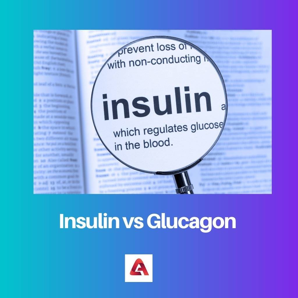 Insulin vs Glucagon