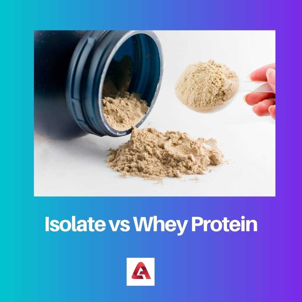 Isolate vs Whey Protein