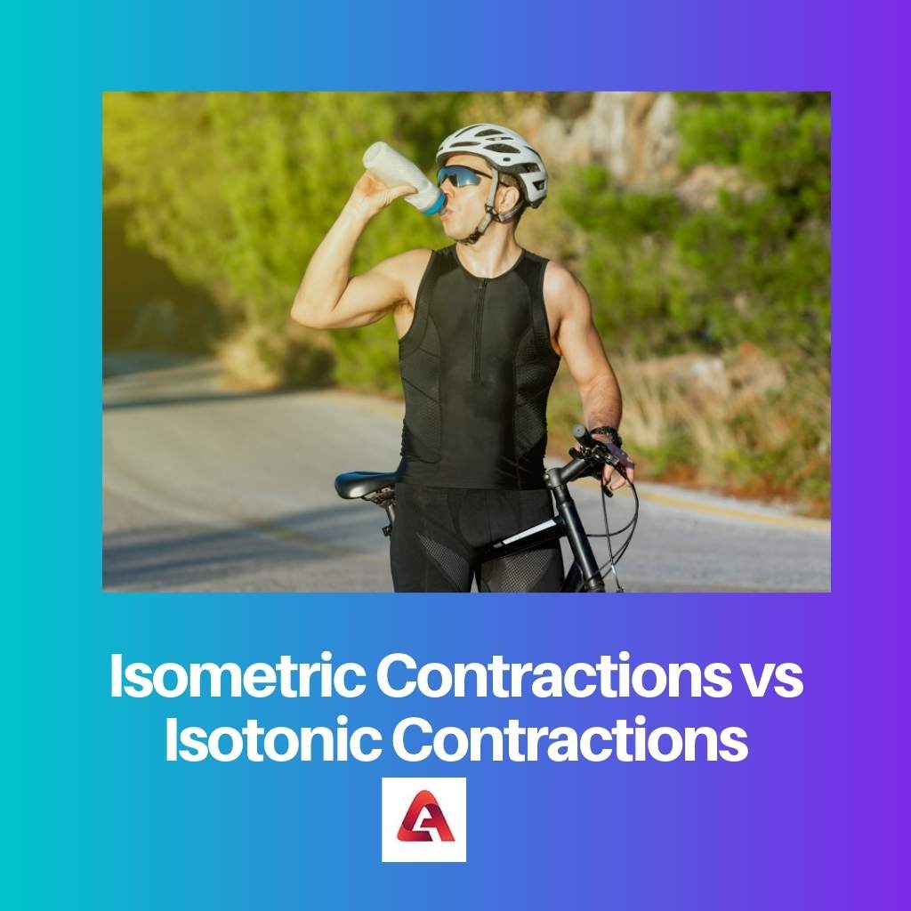 Isometric Contractions vs Isotonic Contractions 1
