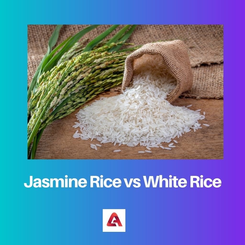 Jasmine Rice vs White Rice