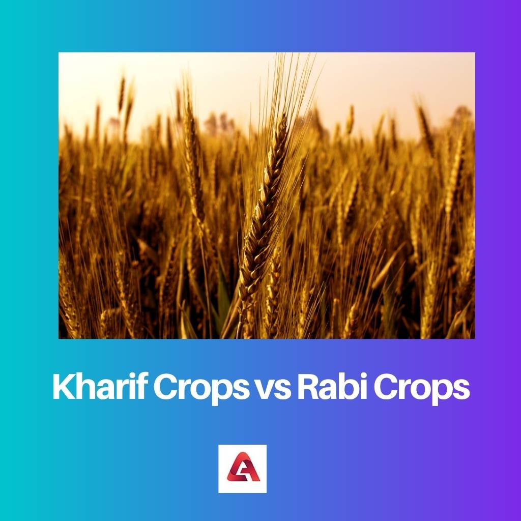 Kharif Crops vs Rabi Crops