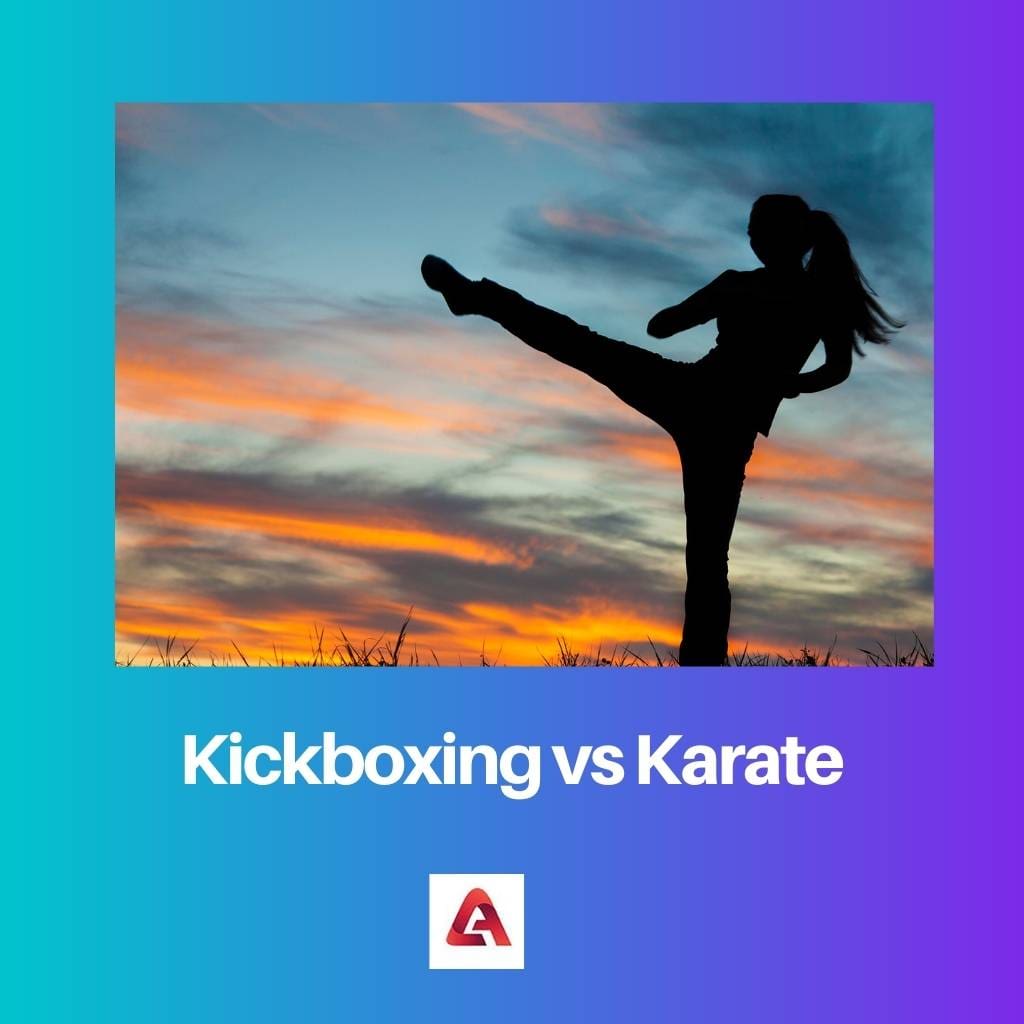 Kickboxing vs Karate