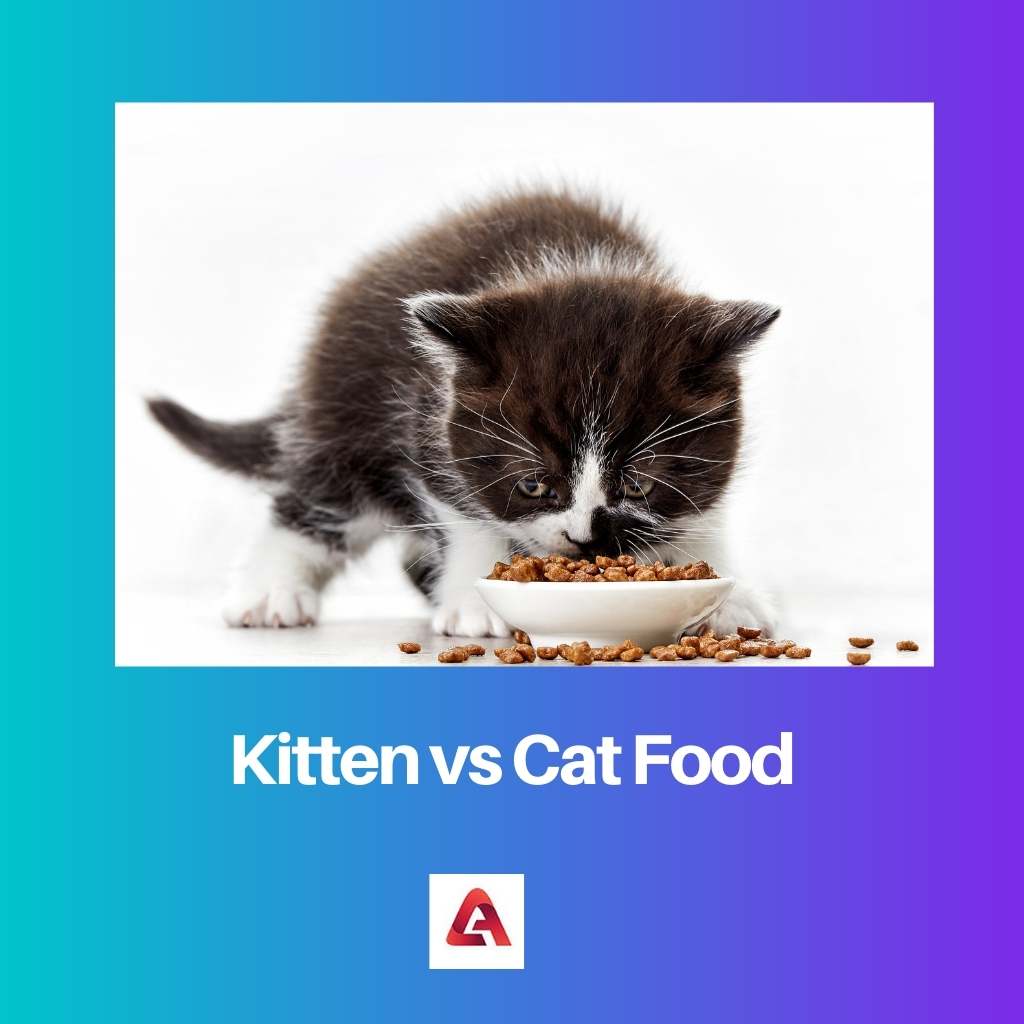 Kitten vs Cat Food