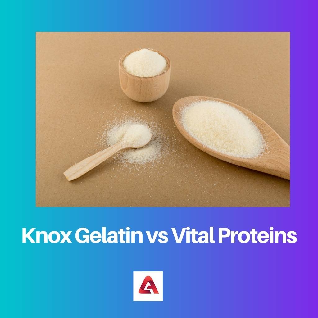 Knox Gelatin vs Vital Proteins