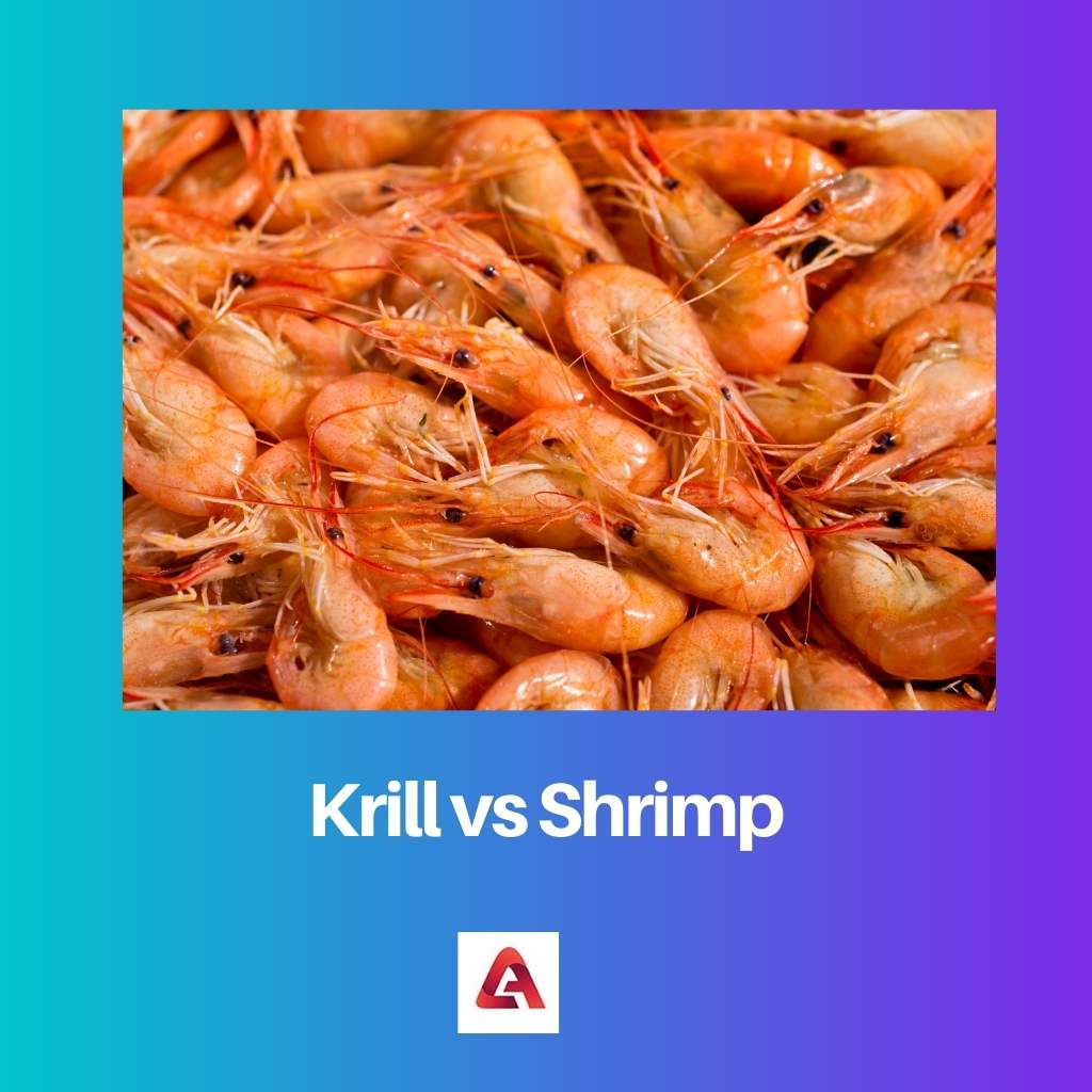 Krill vs Shrimp