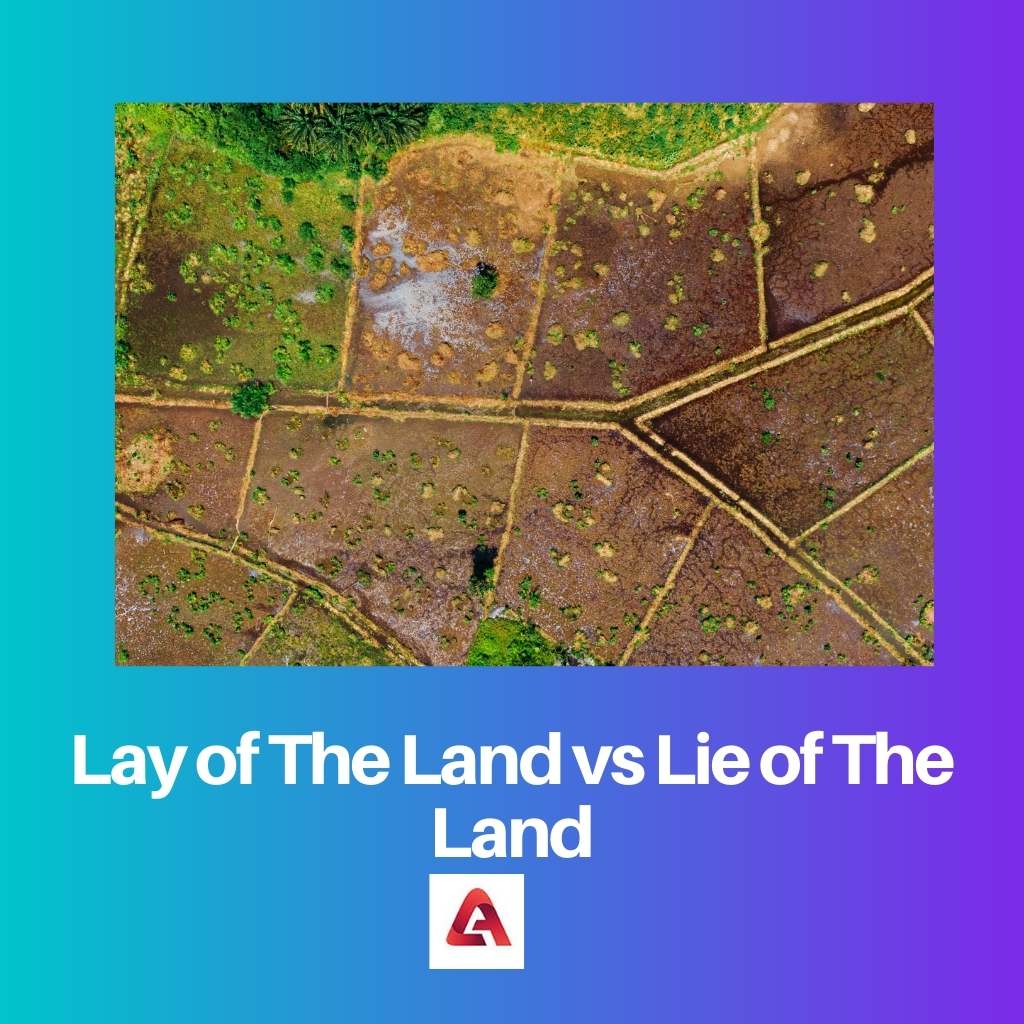 Lay of The Land vs Lie of The Land