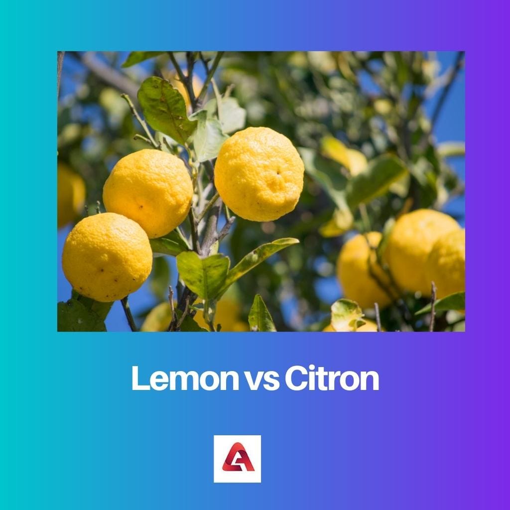 Lemon vs Citron