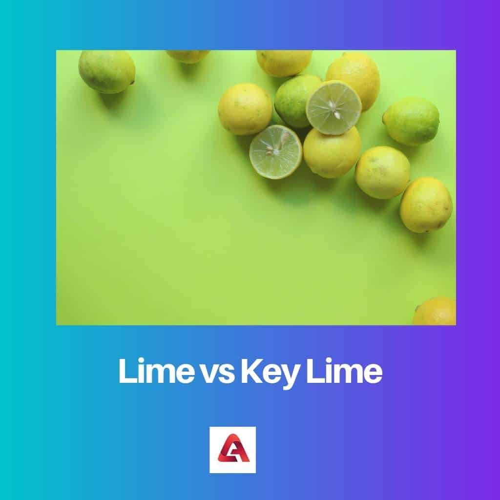 Lime Vs Key Lime Difference And Comparison   Lime Vs Key Lime 