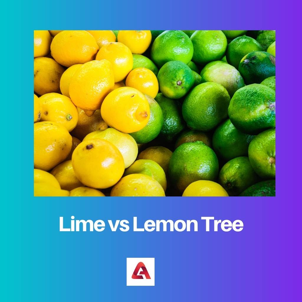 Lime vs Lemon Tree