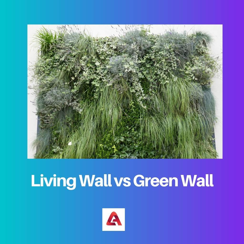 Living Wall vs Green Wall