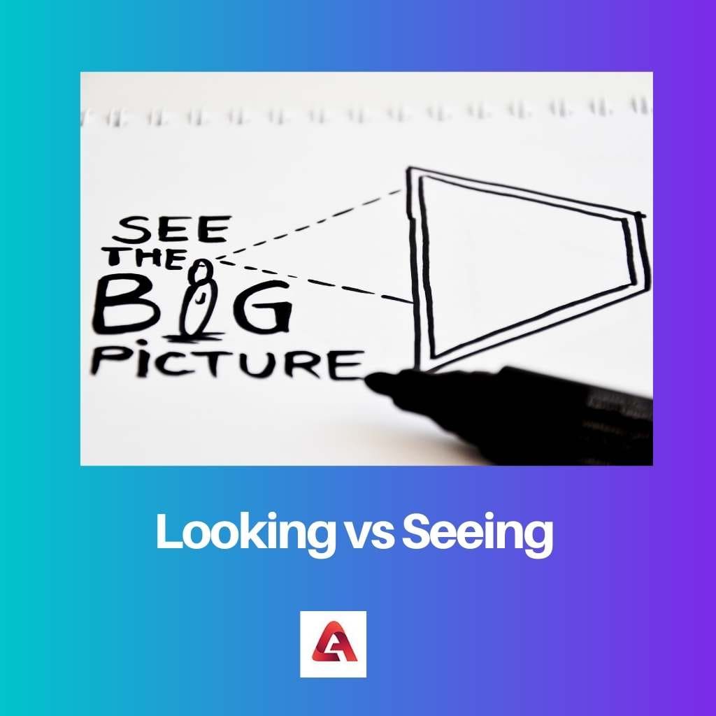 Looking vs Seeing