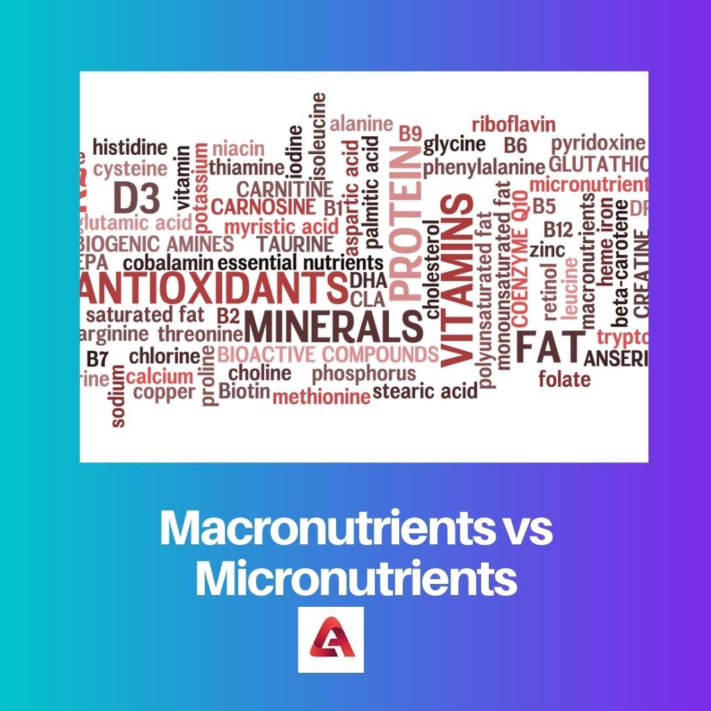 Macronutrients vs Micronutrients