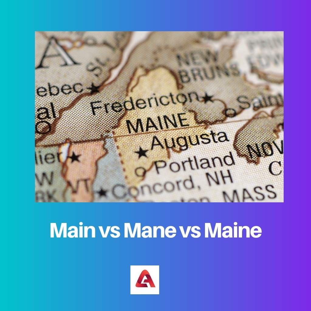 Main vs Mane vs Maine