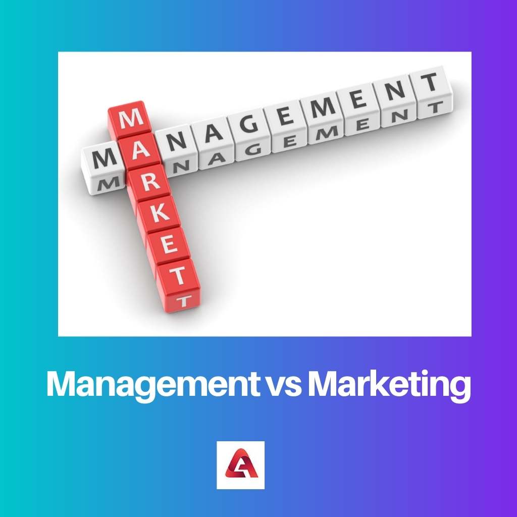 Management vs Marketing