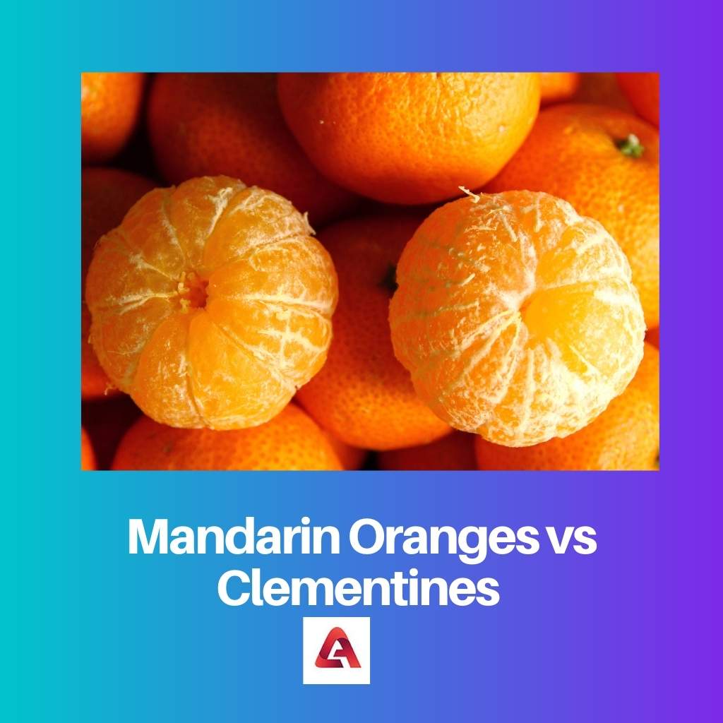 Mandarin Oranges vs Clementines