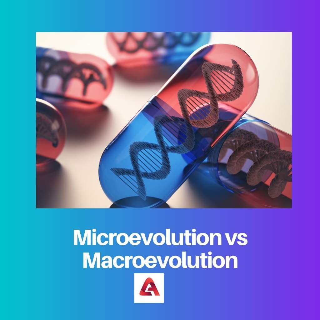 Microevolution vs Macroevolution
