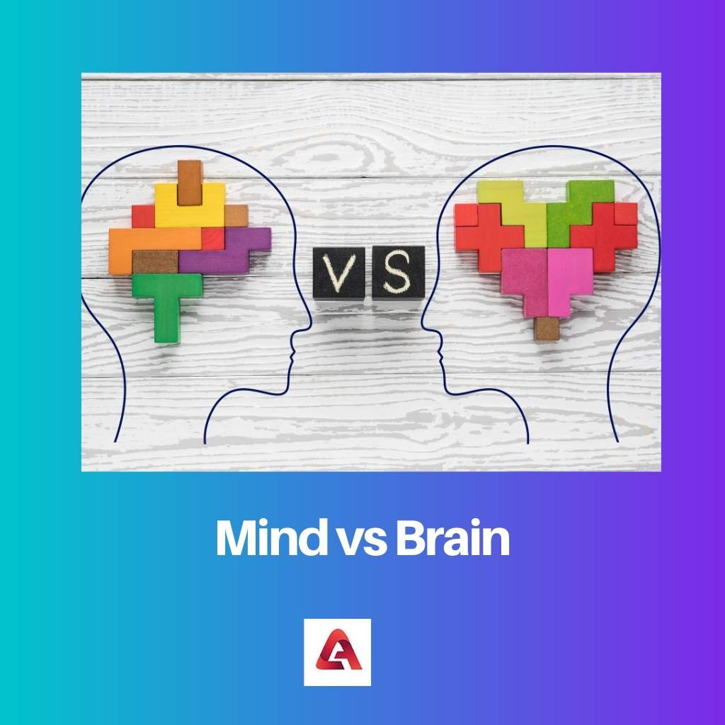 Mind vs Brain