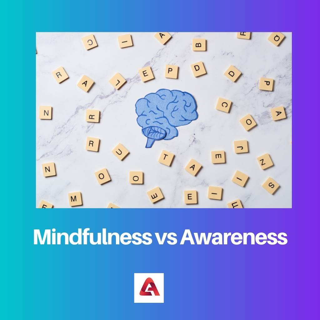 Mindfulness vs Awareness