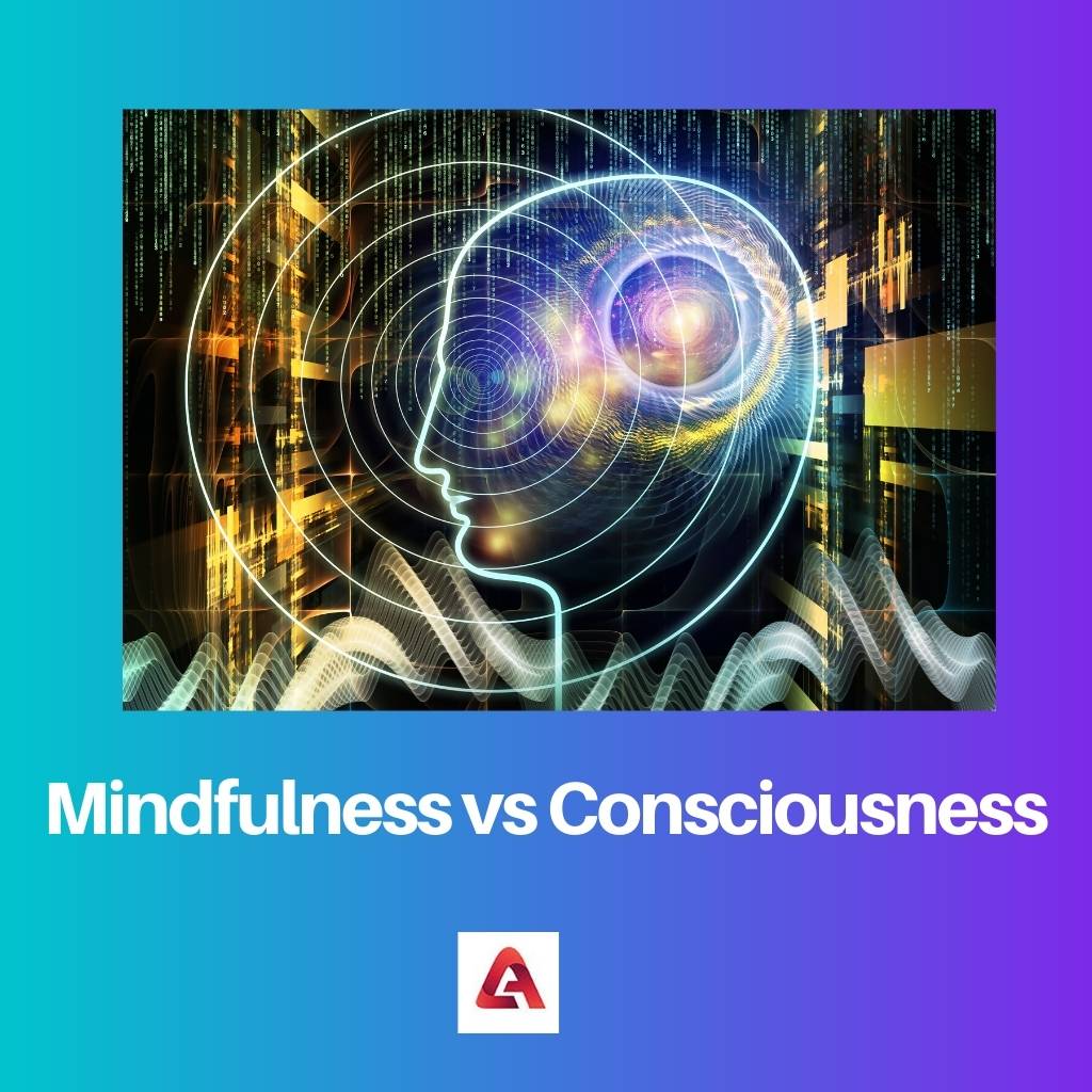 Mindfulness vs Consciousness