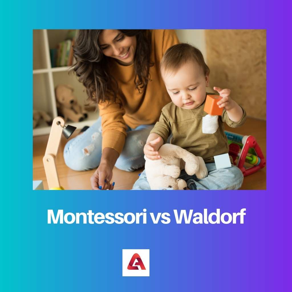 Montessori vs Waldorf