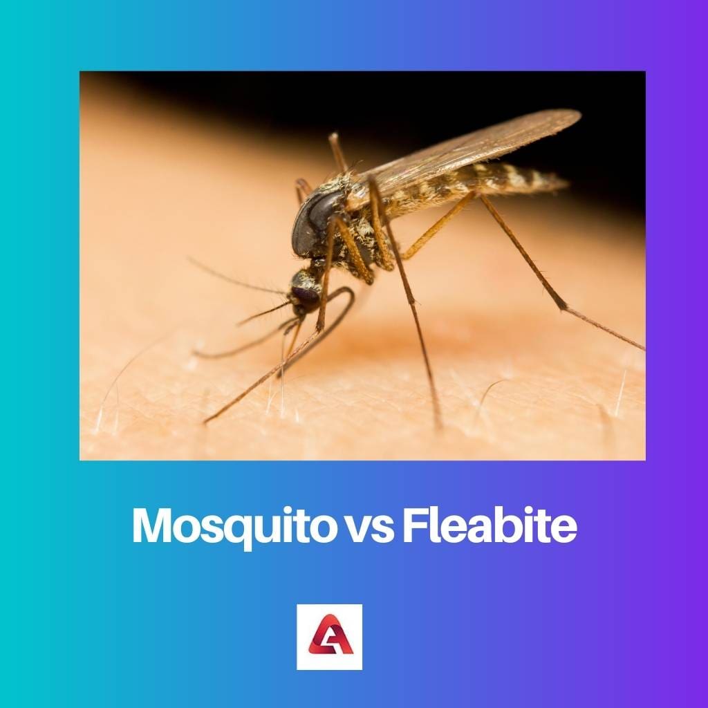 Mosquito vs Fleabite