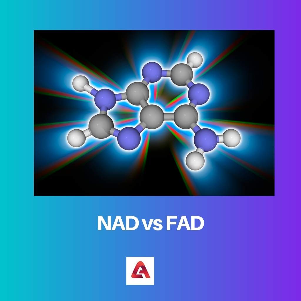 NAD vs FAD