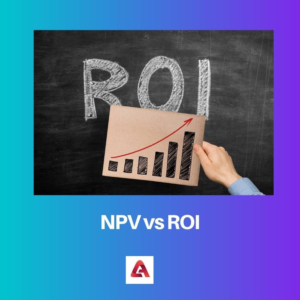 NPV vs ROI