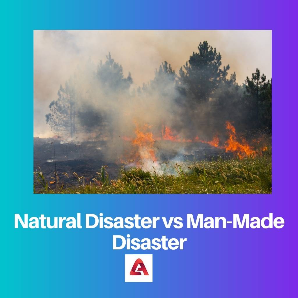 Natural Disaster vs Man Made Disaster