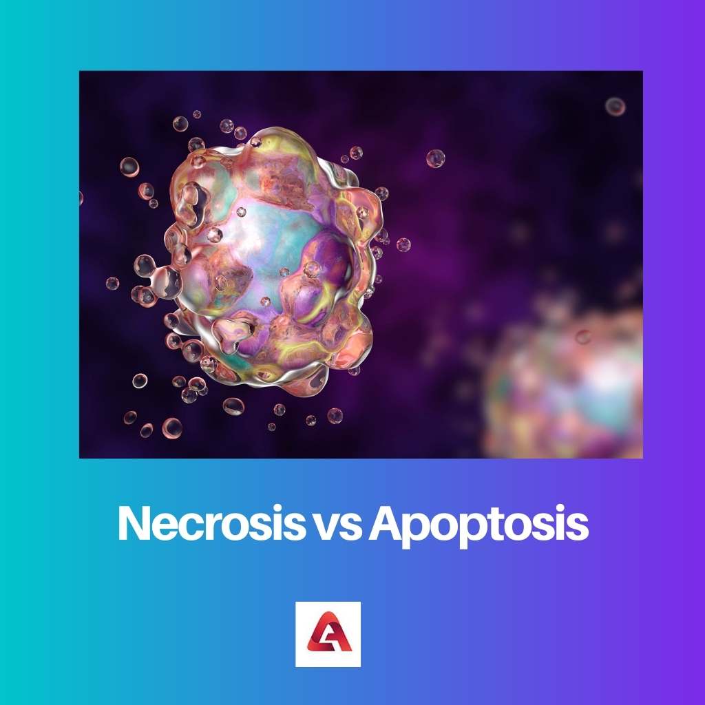 Necrosis vs Apoptosis