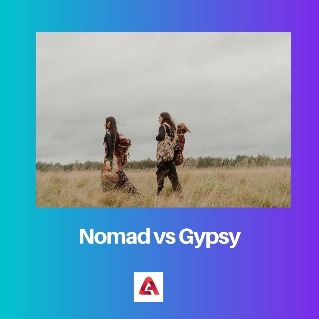 Nomad vs Gypsy