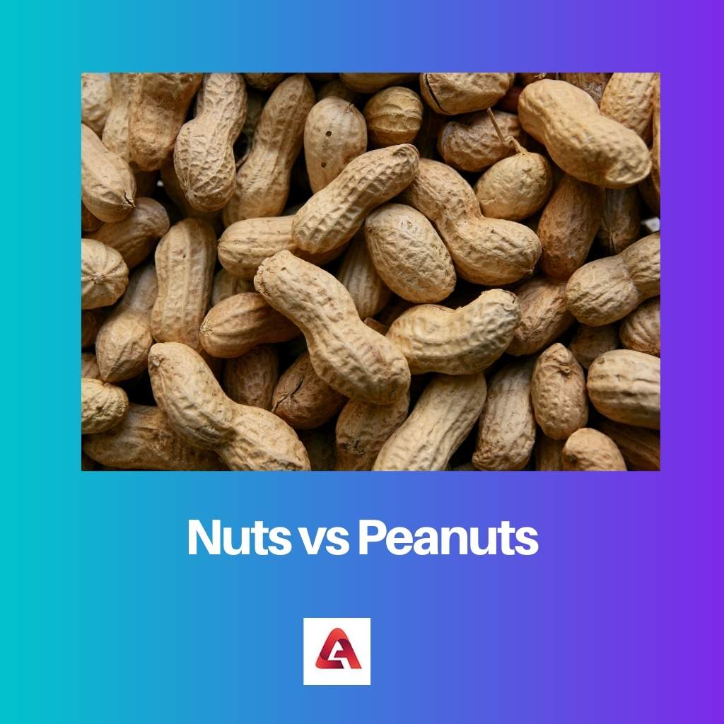 Nuts vs Peanuts