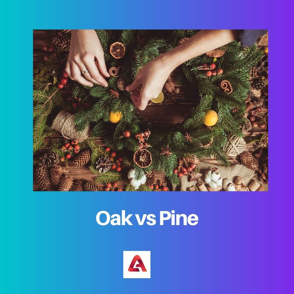 Oak vs Pine