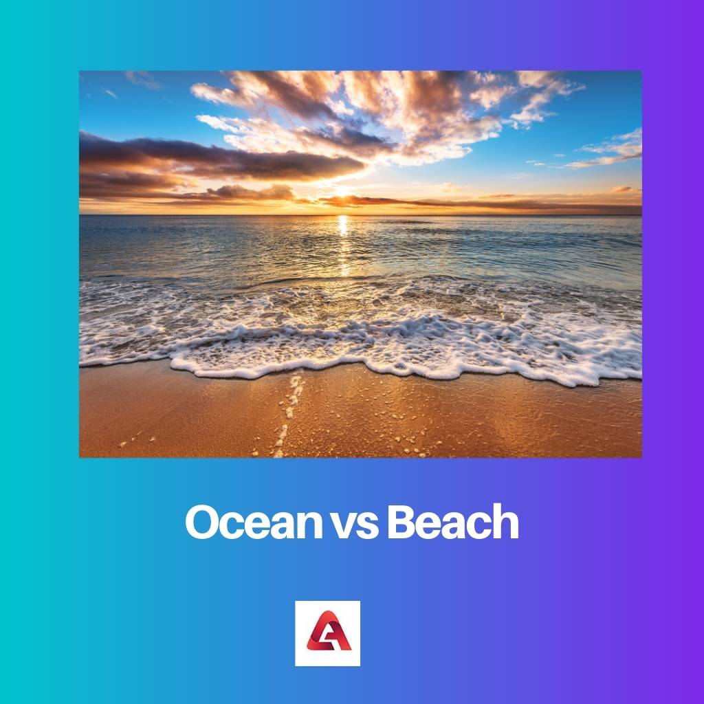 Ocean vs Beach