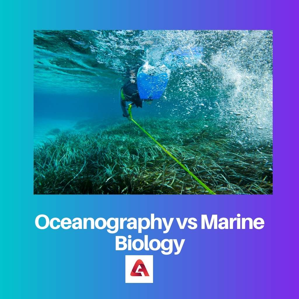 Oceanography vs Marine Biology