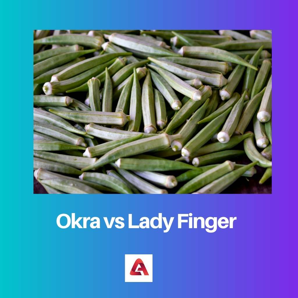 Okra vs Lady Finger