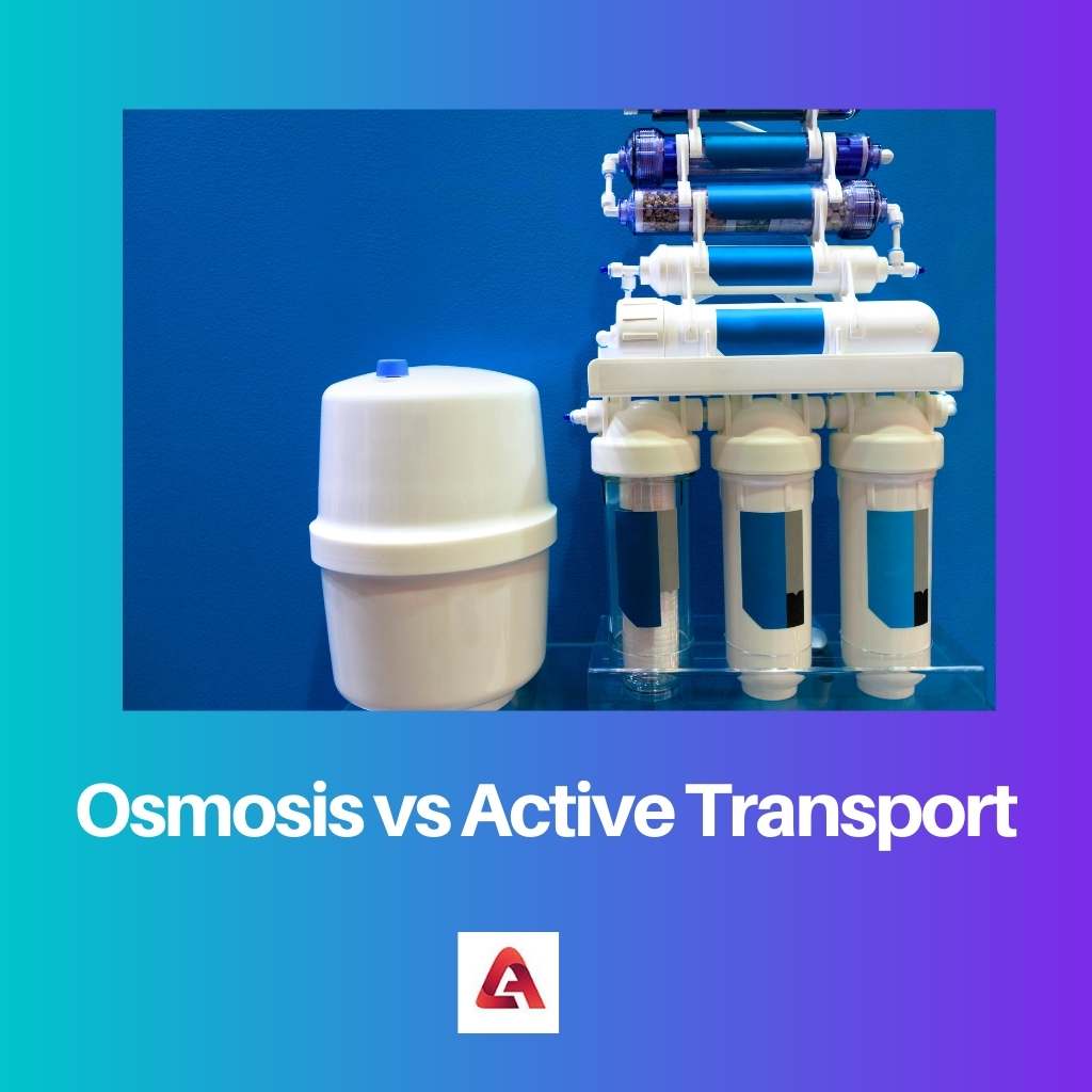 Osmosis vs Active Transport